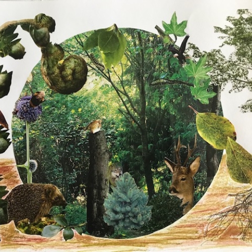 Nature A4 Mixed Media